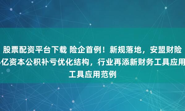 股票配资平台下载 险企首例！新规落地，安盟财险1.46亿资本公积补亏优化结构，行业再添新财务工具应用范例