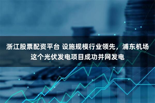 浙江股票配资平台 设施规模行业领先，浦东机场这个光伏发电项目成功并网发电